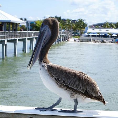 Manatee Bay Inn Fort Myers Beach Zewnętrze zdjęcie